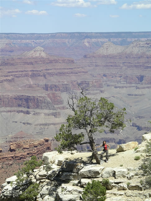 images/D-Canyon View - Trail to Maricopa Point (8).jpg